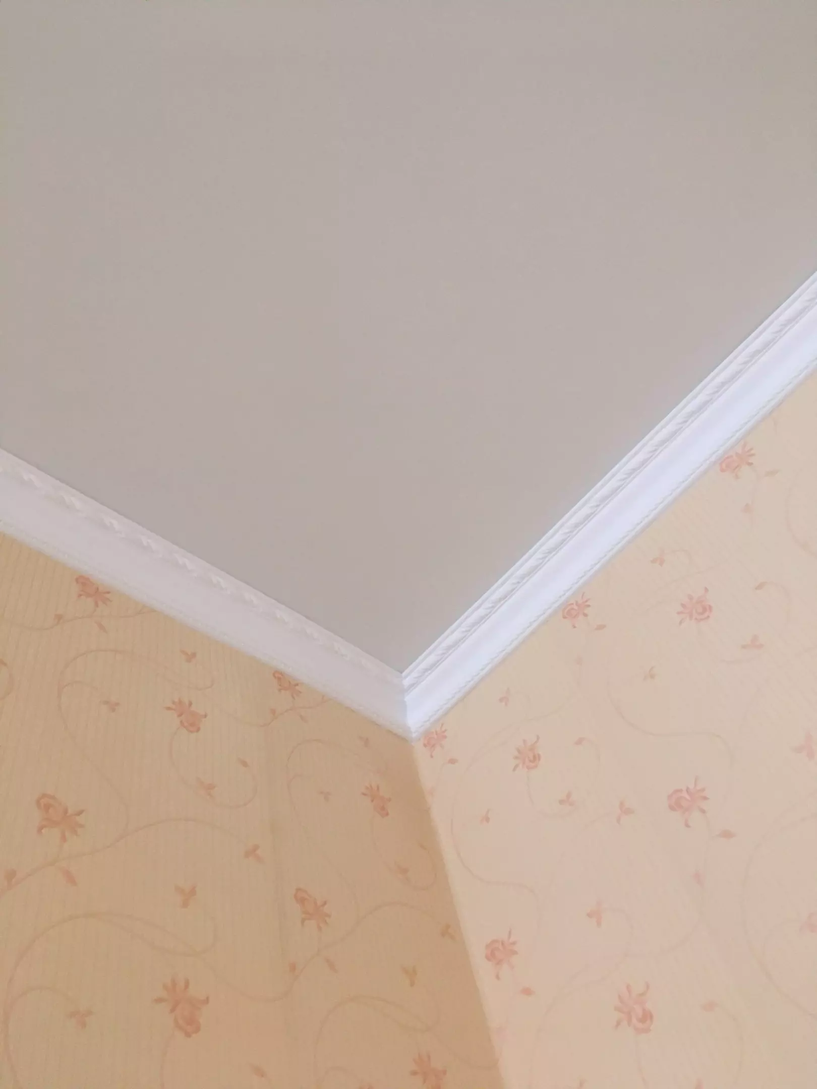 Северодвинск, Морской проспект, 49а, фото 3