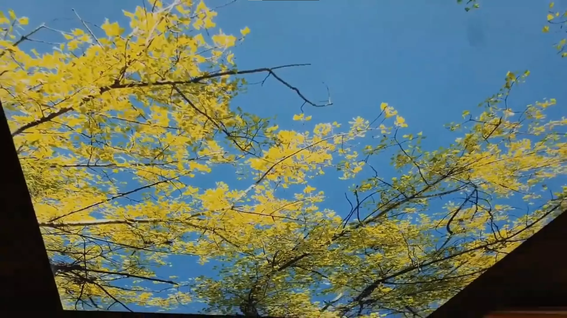 Томск, проспект Ленина, 97, фото 2